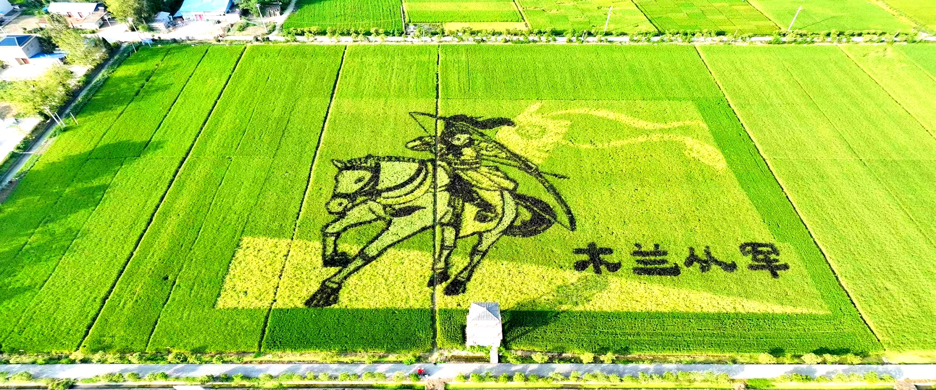 木兰11.jpg