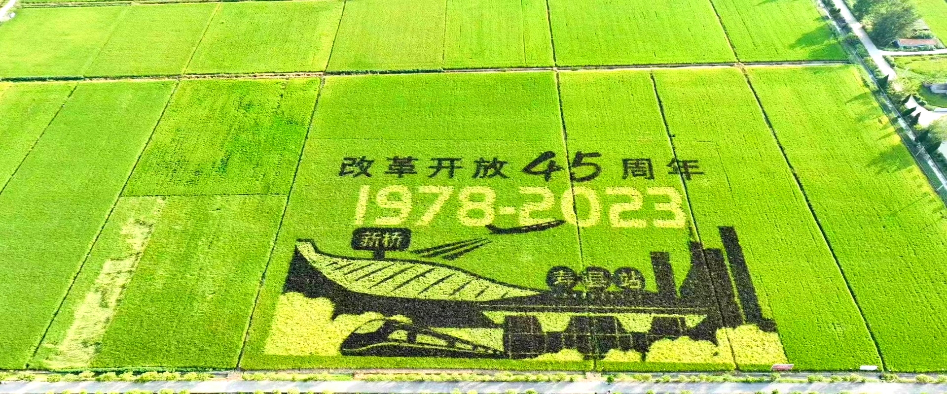 力杰页面031.jpg